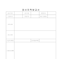 감사지적보고서 감사지적보고서